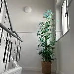 Apartment Lugar Dos Avos Nazare