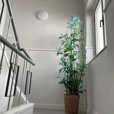 Apartamento Lugar Dos Avós Nazaré